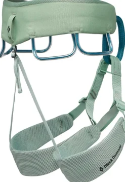 Black Diamond Harnesses-Womens Momentum Harness - Desert Sage