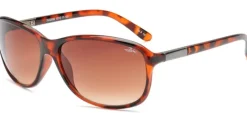 Bloc Eyewear Eyewear-BLOC Bee Sunglasses - Shiny Tortoiseshell-Brown Graduated