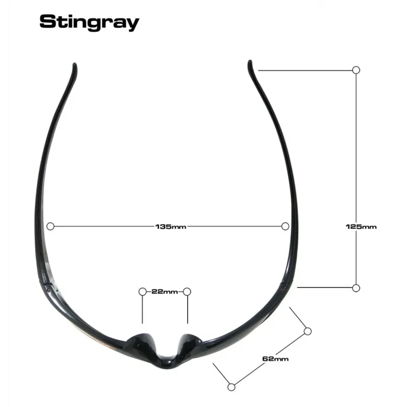 Bloc Eyewear Eyewear-BLOC Stingray Sunglasses - Shiny Black-Polarised Grey