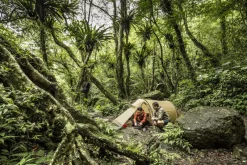 Fjallraven Backpacking & Lightweight Tents-Abisko Lite 3 Tent - Pine Green