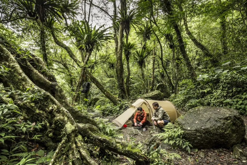 Fjallraven Backpacking & Lightweight Tents-Abisko Lite 3 Tent - Pine Green