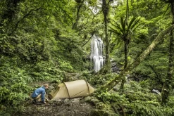 Fjallraven Backpacking & Lightweight Tents-Abisko Lite 2 Tent - Pine Green