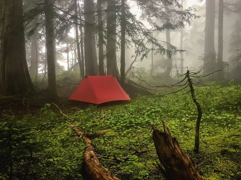Hilleberg Backpacking & Lightweight Tents-Anaris Tent - Green