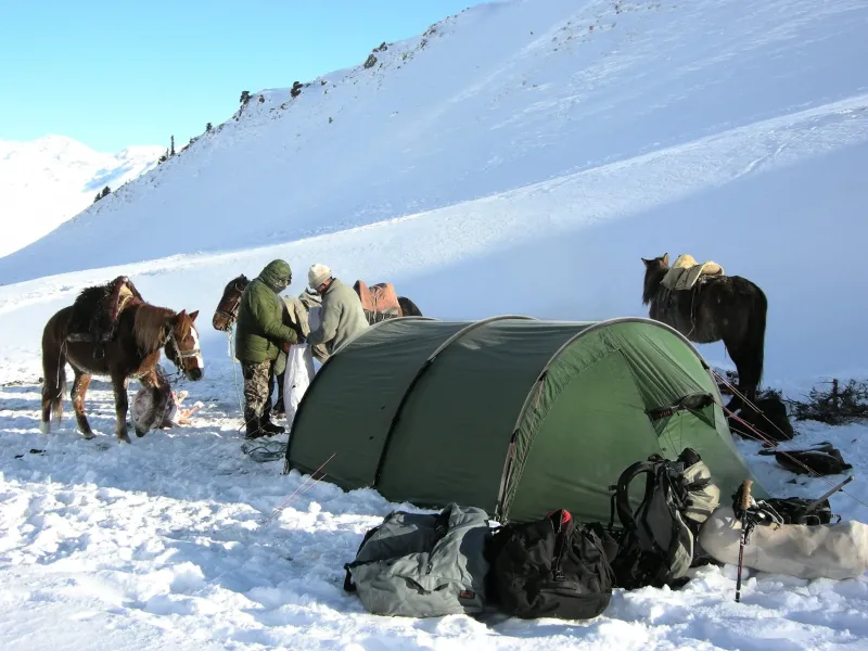 Hilleberg Backpacking & Lightweight Tents-Keron 4 Tent - Green