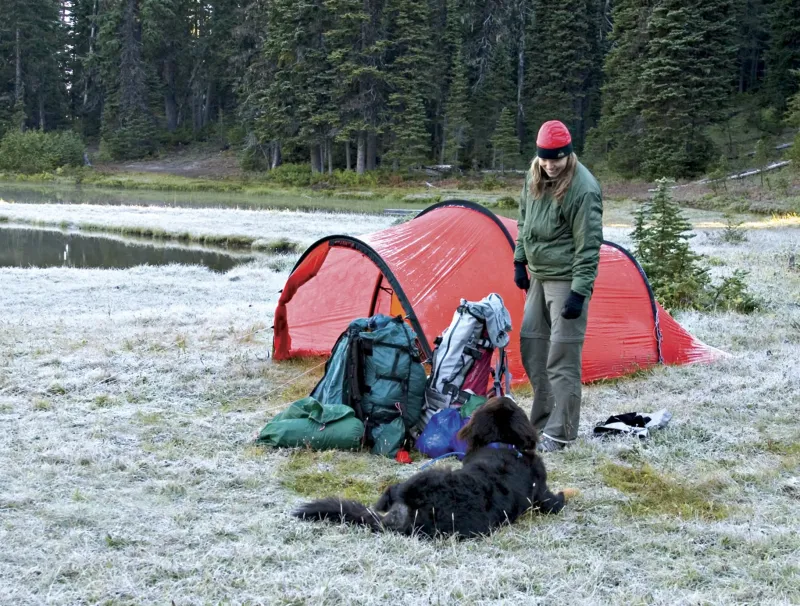Hilleberg Backpacking & Lightweight Tents-Nallo 3 GT Tent - Green