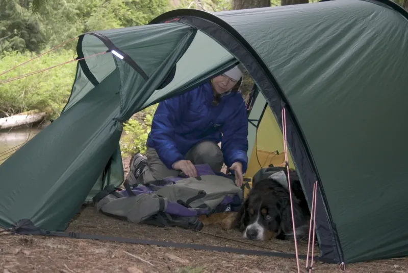 Hilleberg Backpacking & Lightweight Tents-Nallo 2 GT Tent - Sand