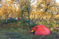 Hilleberg Backpacking & Lightweight Tents-Staika Tent - Green