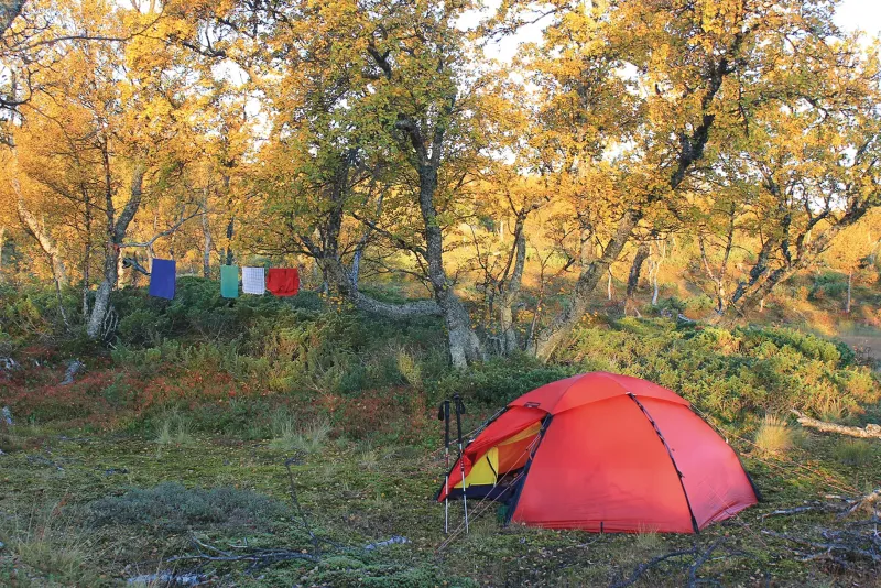 Hilleberg Backpacking & Lightweight Tents-Staika Tent - Green