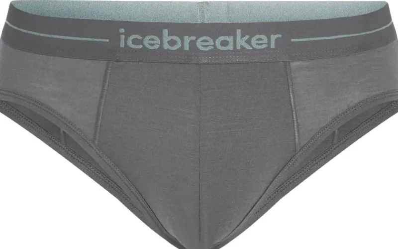 Icebreaker Underwear-Mens Anatomica Briefs - Jet Heather