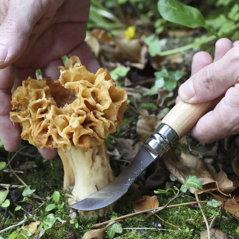 Opinel Knives & Multi-Tools-No.8 Mushroom Knife