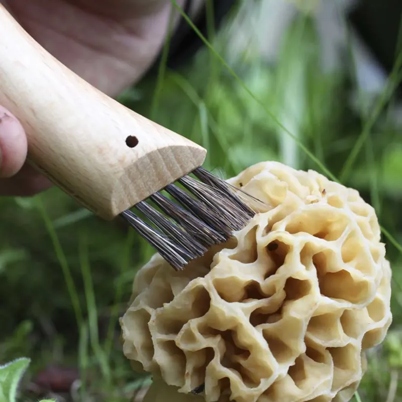 Opinel Knives & Multi-Tools-No.8 Mushroom Knife