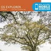 Ordnance Survey Maps And Books-OS Explorer Map 114 - Exeter and the Exe Valley