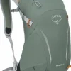 Osprey Day Packs-Hikelite 18 Rucksack - Pine Leaf Green