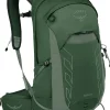 Osprey Day Packs-Talon 22 Rucksack - Green Canopy-Pine Leaf
