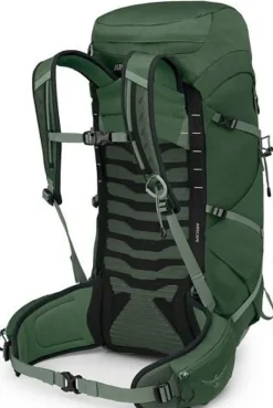 Osprey Day Packs-Talon 33 Rucksack - Green Canopy-Pine Leaf