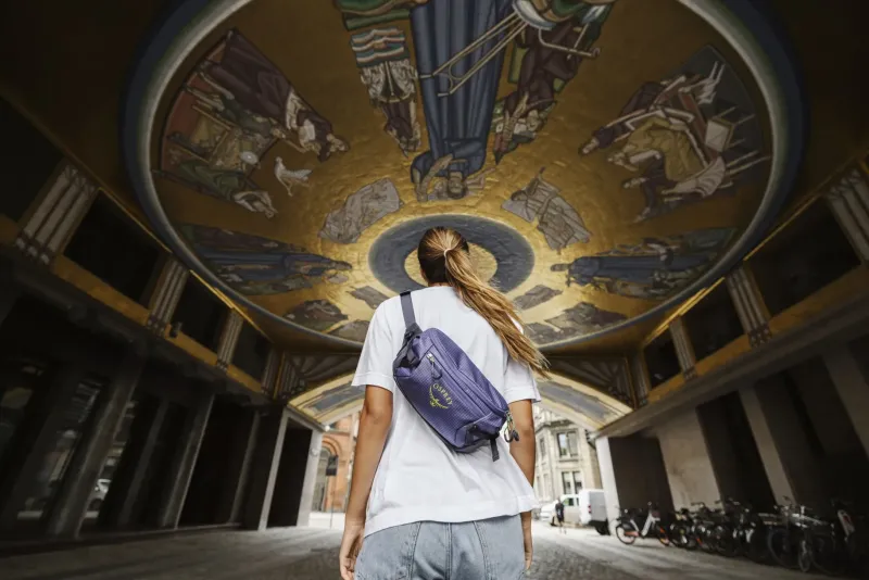 Osprey Hip Packs & Crossbody'S-Transporter Waist Pack - Euphoria Purple