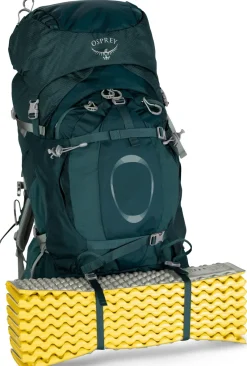 Osprey Backpacking Packs-Womens Ariel Plus 70 Rucksack - Night Jungle Blue