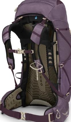 Osprey Fast & Light Rucksacks And Vests-Womens Eja 38 Rucksack - Purple Dusk