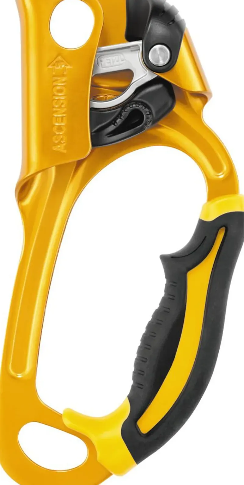 Petzl Belay & Protection-Ascension