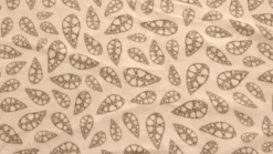 Robens Carpets-Double Dreamer 5 Fleece Carpet