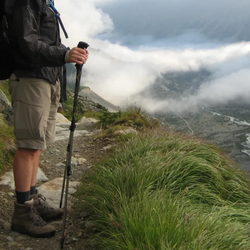 Terra Nova Walking Poles-Trail Lite Trekking Pole