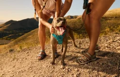 Teva Hiking Shoes & Boots|Sandals-Womens Tirra Sandals - Blue Multi